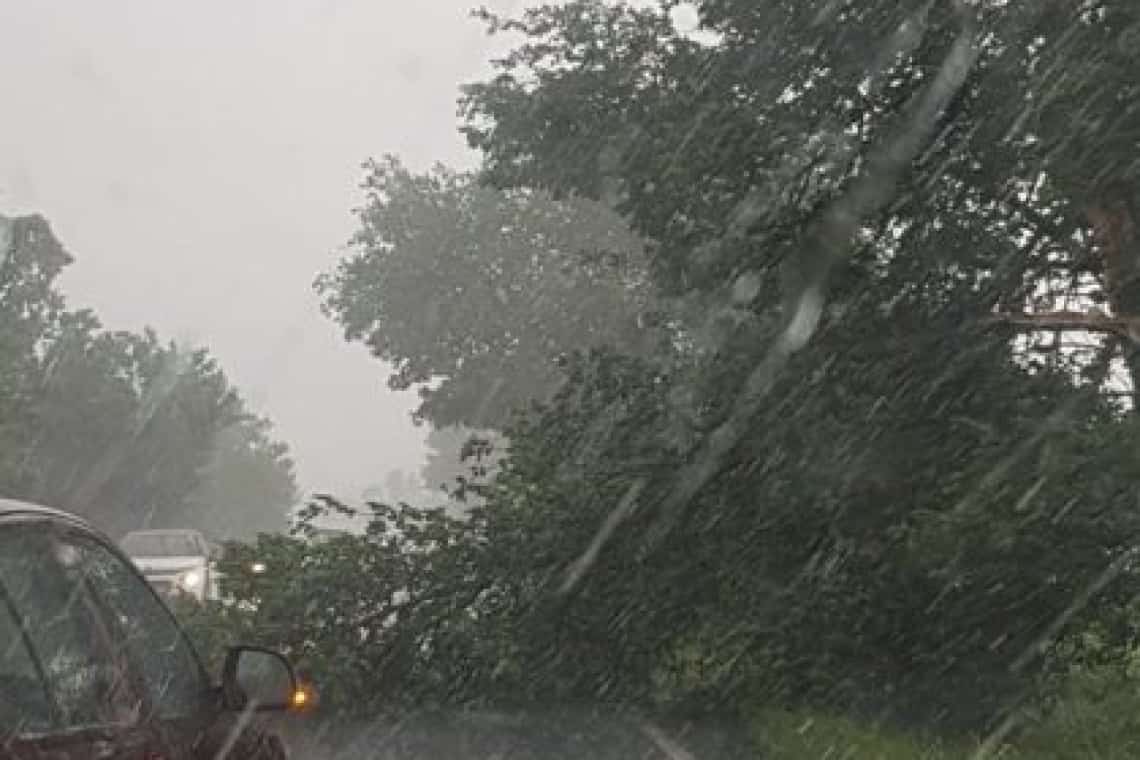 Restricție de trafic pe DN1, zona Cornu, din cauza unui arbore căzut pe șosea