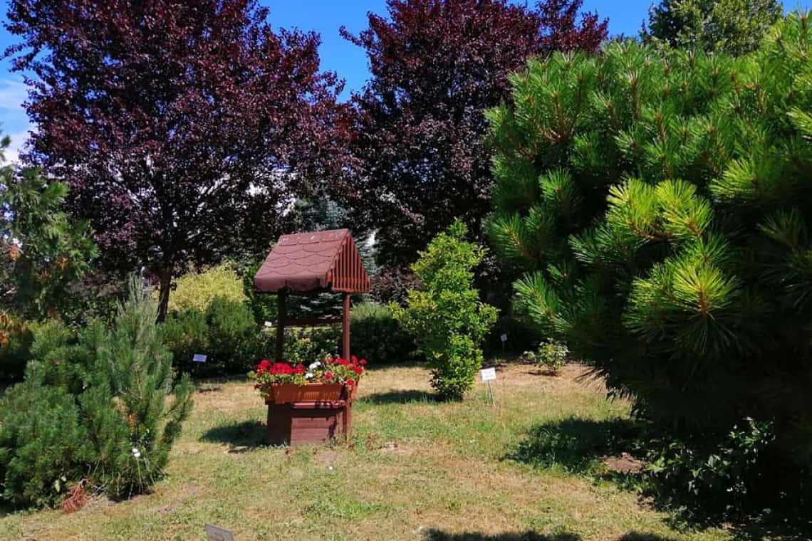 Unde fugim de caniculă? Azi: Grădina Botanică de la Bucov (galerie foto)