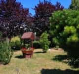 Unde fugim de caniculă? Azi: Grădina Botanică de la Bucov (galerie foto)