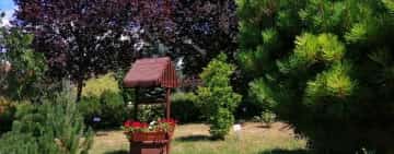 Unde fugim de caniculă? Azi: Grădina Botanică de la Bucov (galerie foto)