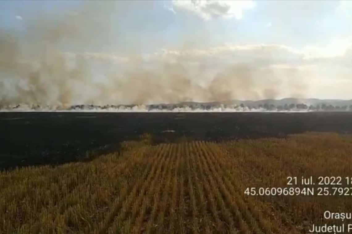 Trafic îngreunat pe DN1, din cauza unui incendiu care a cuprins 5 hectare de teren