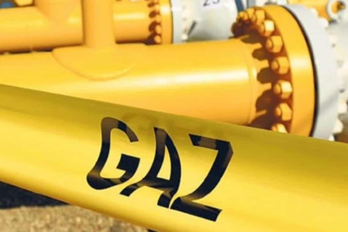 Rodica Paraschiv (PSD Prahova): ”Românii trebuie să știe ce îi așteaptă la iarnă!”