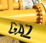 Rodica Paraschiv (PSD Prahova): ”Românii trebuie să știe ce îi așteaptă la iarnă!”