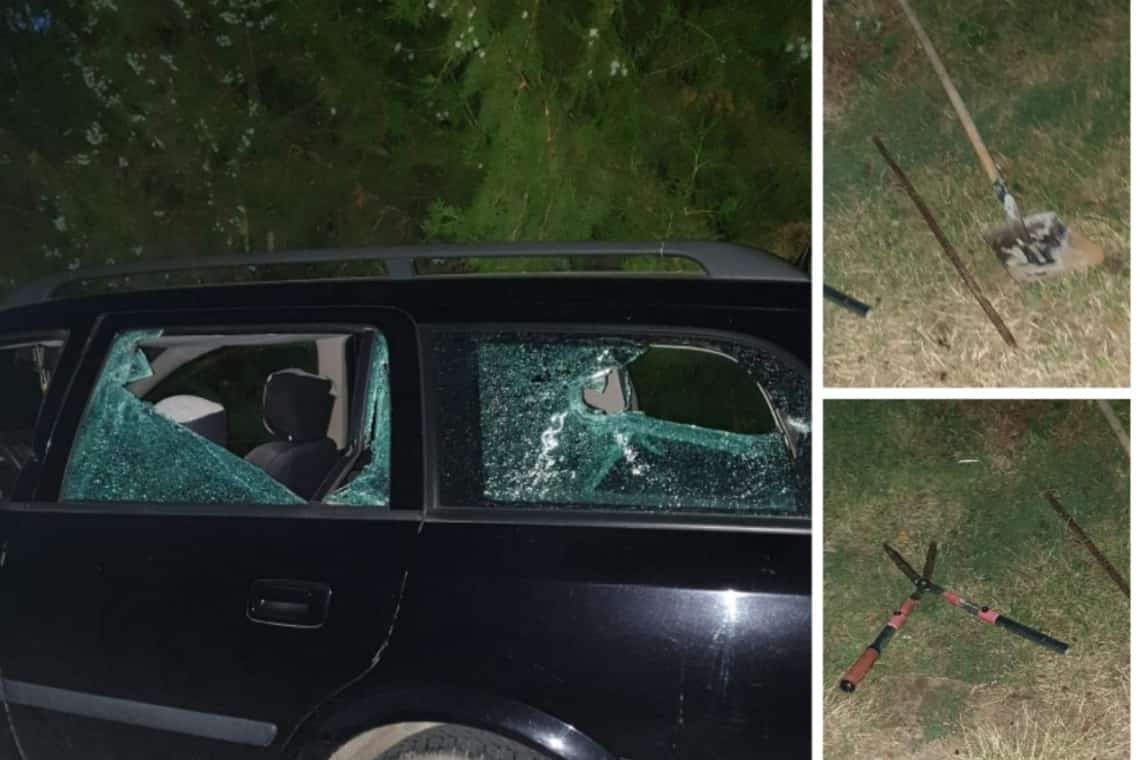 A fost reținut unul dintre scandalagiii de la Malamuc. Ce spun polițiștii despre incident