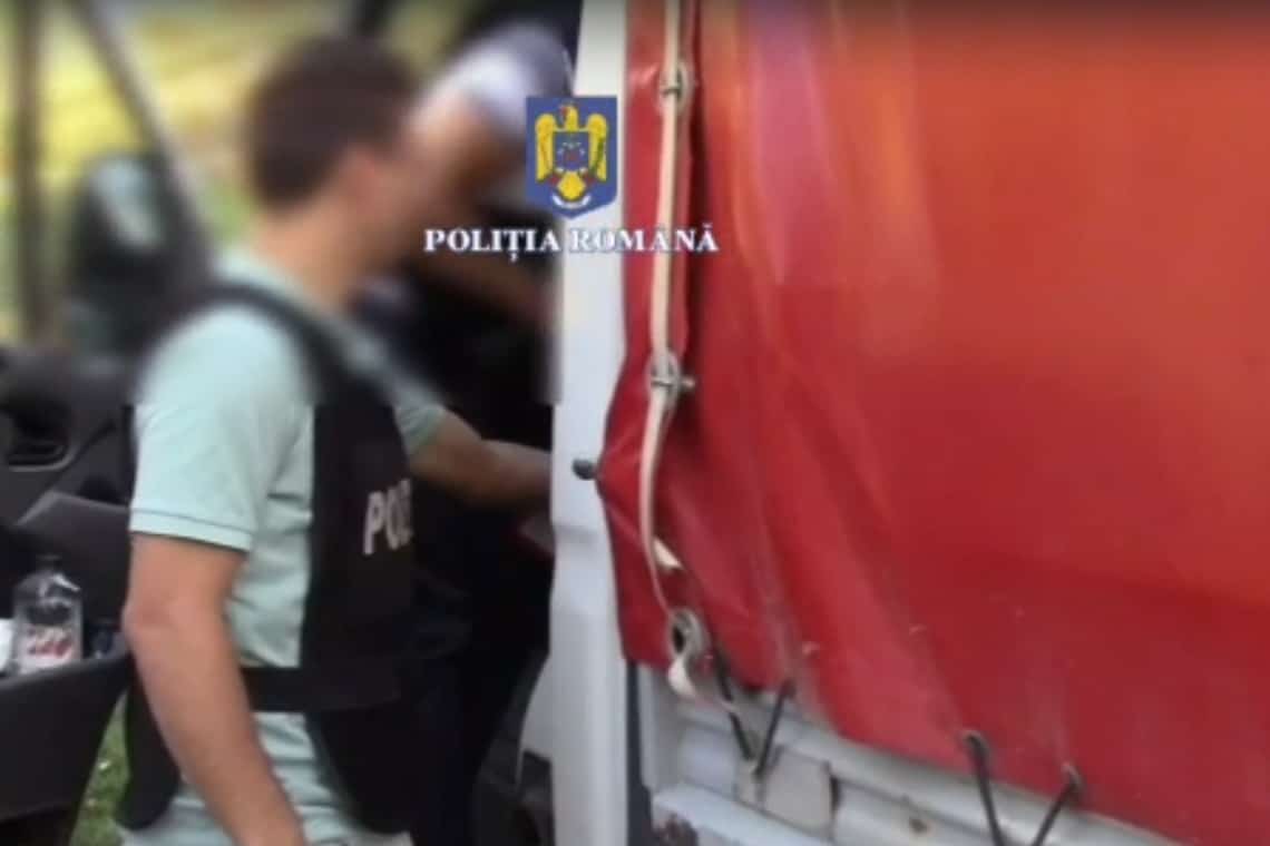 Percheziții în Slănic și în trei comune limitrofe, la suspecți de tăiere ilegală de arbori și fals informatic