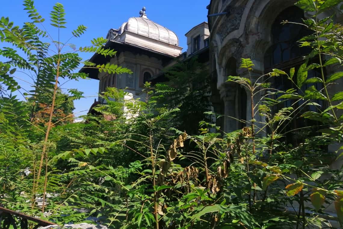 Galerie foto/ În ciuda secetei, fosta Casă a Căsătoriilor din Ploiești este năpădită de jungla urbană!