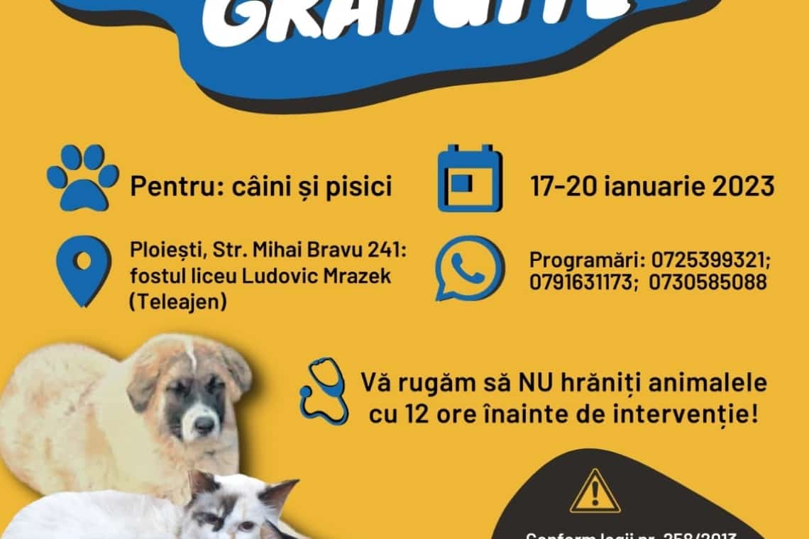 Prima campanie din acest an de sterilizare a câinilor și a pisicilor, la Ploiești
