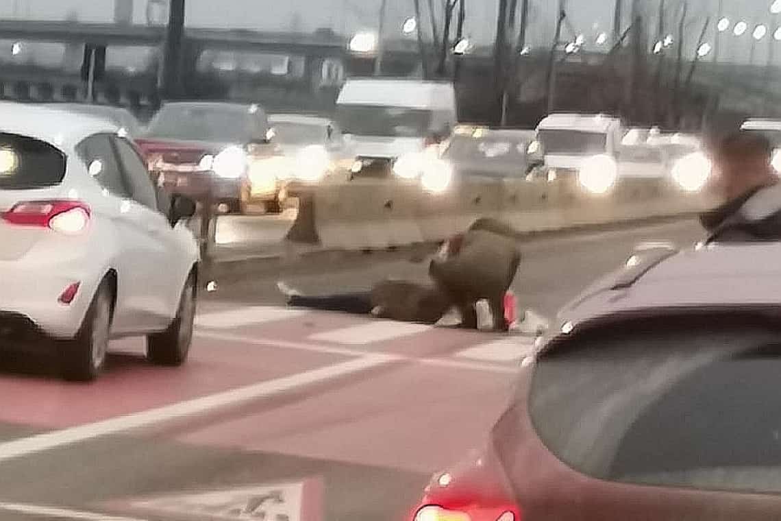 Femeie accidentată pe trecerea pentru pietoni, la ieșire din Ploiești, în apropiere de sensul giratoriu suspendat