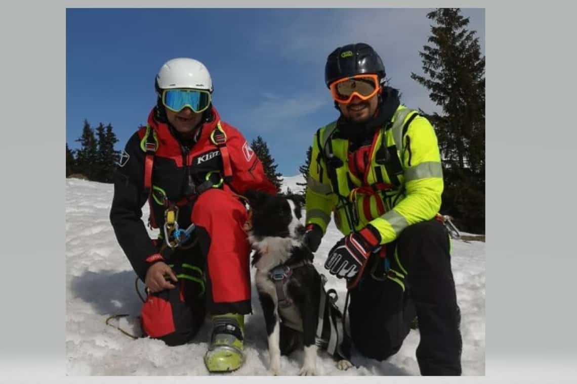 Salvamont Prahova are, din acest an, două unități canine de salvare din avalanșă: ”veteranii” Carp și Sergiu și... new-entry Lina și Andi!