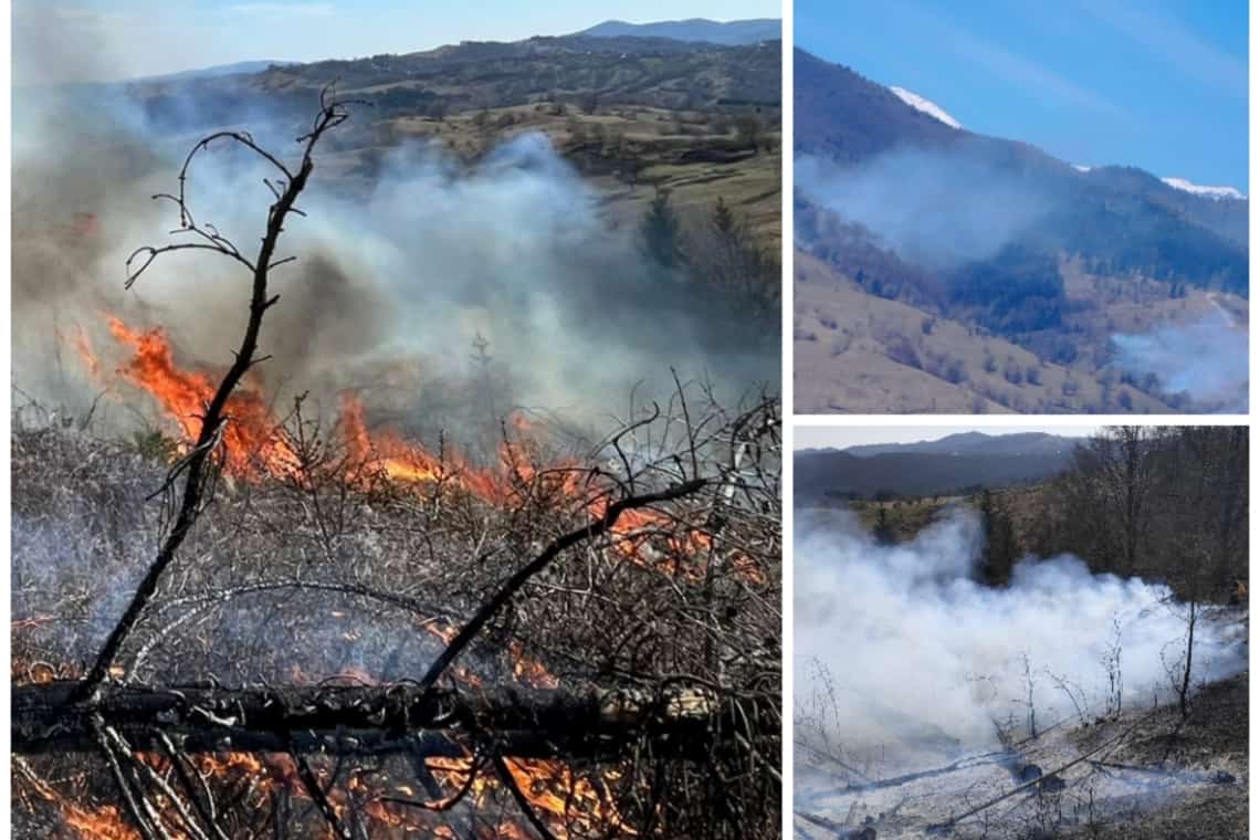 Incendiu la Comarnic. Ard 10 hectare de vegetație! 