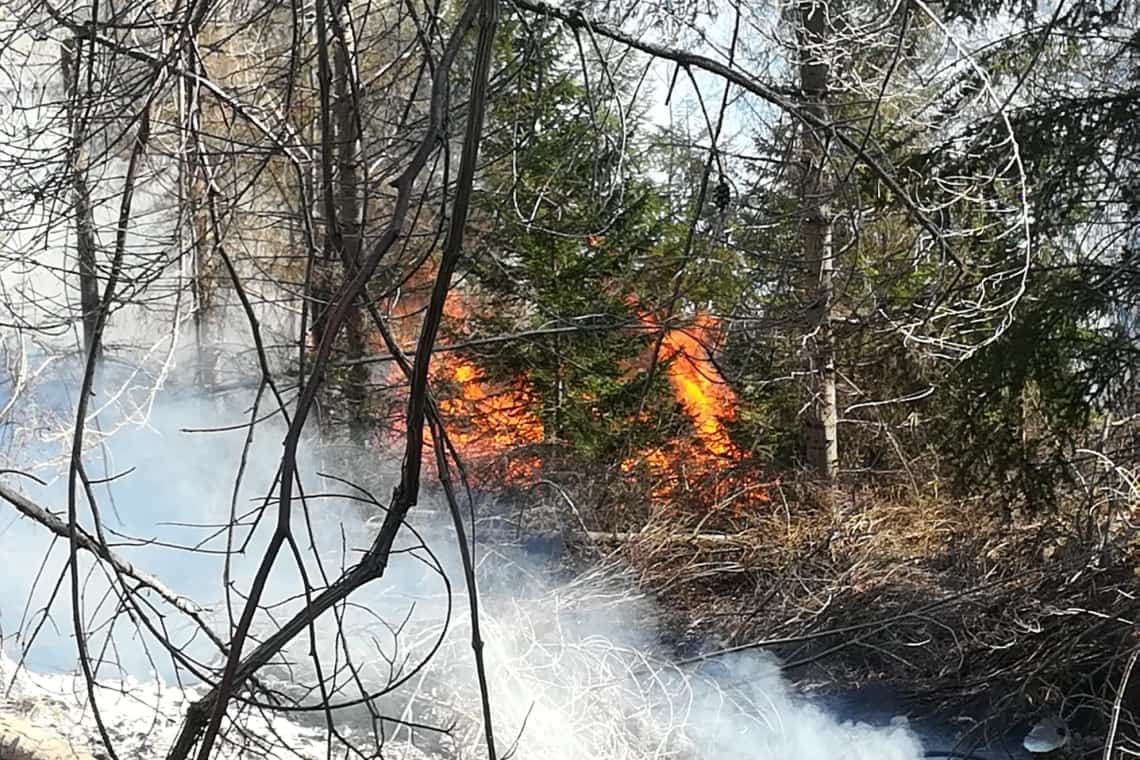 Zeci de jandarmi vin în sprijinul pompierilor pentru stingerea incendiului din Comarnic/ video
