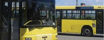 De sâmbătă, se repun în circulație autobuzele spre Parcul Bucov și Grădina Botanică