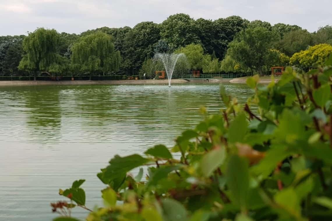 Ați vrea să vă plimbați cu barca pe lacul din parcul de la Sala Sporturilor Olimpia? Sondaj SGU Ploiești