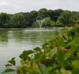Ați vrea să vă plimbați cu barca pe lacul din parcul de la Sala Sporturilor Olimpia? Sondaj SGU Ploiești