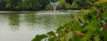 Ați vrea să vă plimbați cu barca pe lacul din parcul de la Sala Sporturilor Olimpia? Sondaj SGU Ploiești