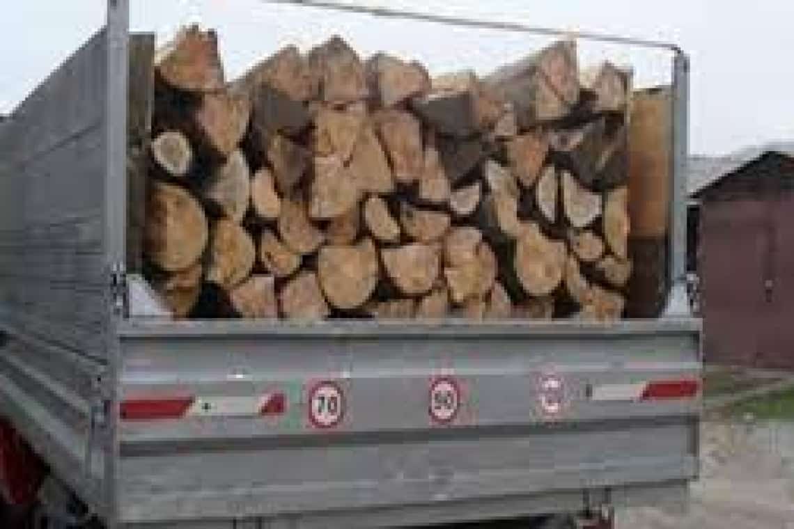 Trei ialomițeni au vrut să fure o stivă de lemne de pe marginea DN1D, în Albești. Ghinionul lor: au fost prinși în flagrant de polițiști!