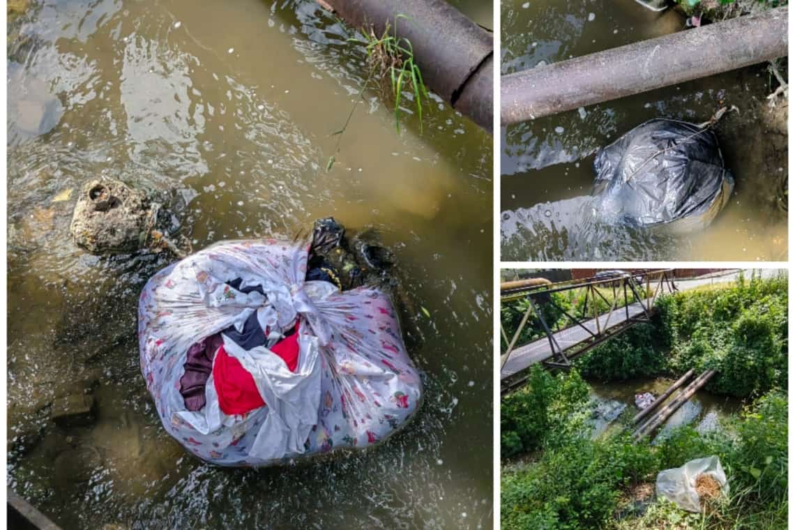 Vreți să vă curețe primarul jegul și resturile din casă? Se vede că, din păcate, lipsa de civilizație și nesimțirea fac legea în Ploiești! (galerie foto)