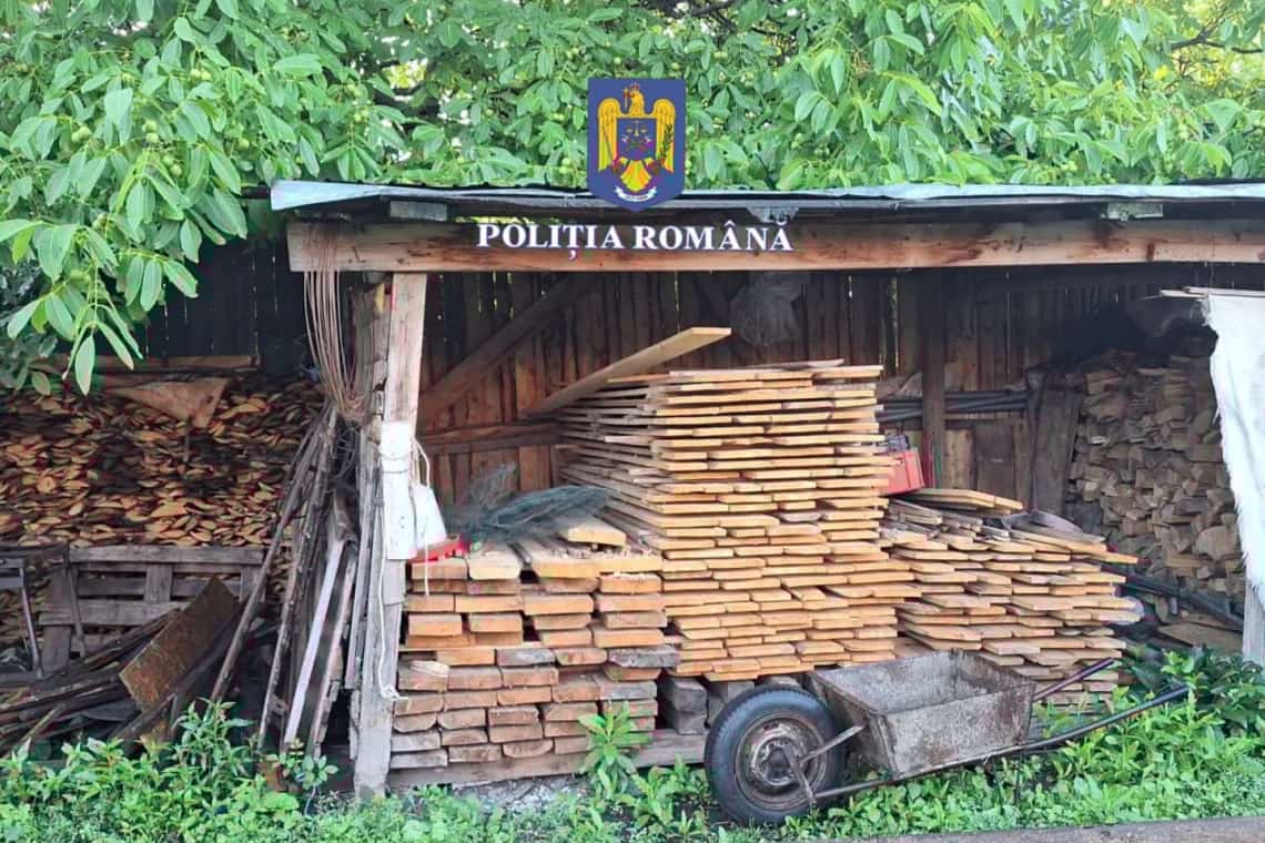 Nouă percheziții, în Vălenii de Munte, la persoane bănuite de infracțiuni silvice, de falsuri și delapidare (video)