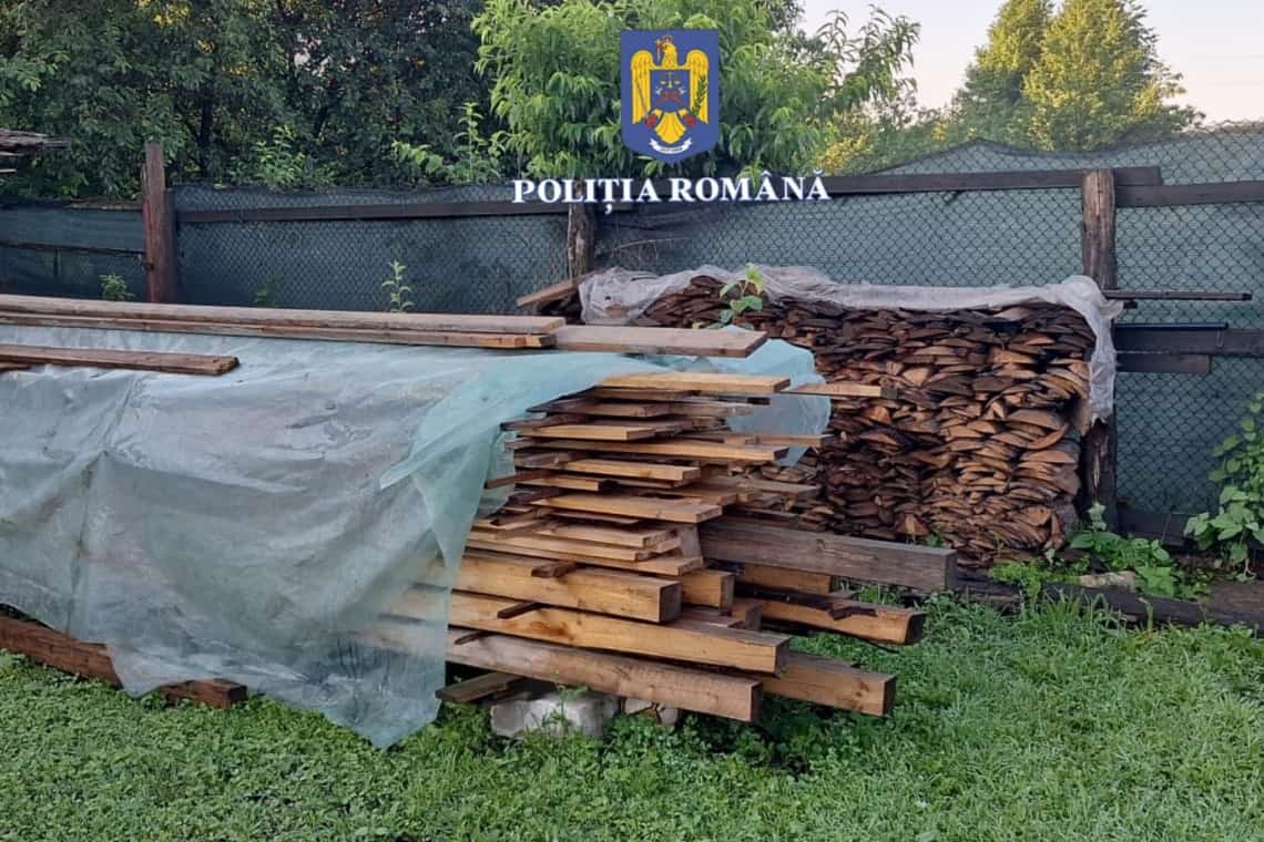 Sute de arbori tăiați ilegal de pe raza unui canton silvic din Măneciu! Trei bărbați - reținuți de poliție pentru un cumul de infracțiuni