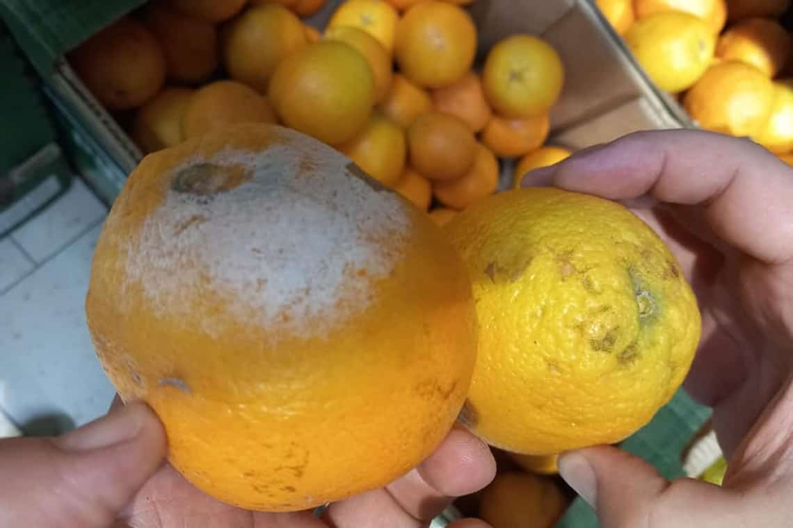 Patru magazine LIDL din Prahova, luate la puricat de comisarii de la Protecția Consumatorilor