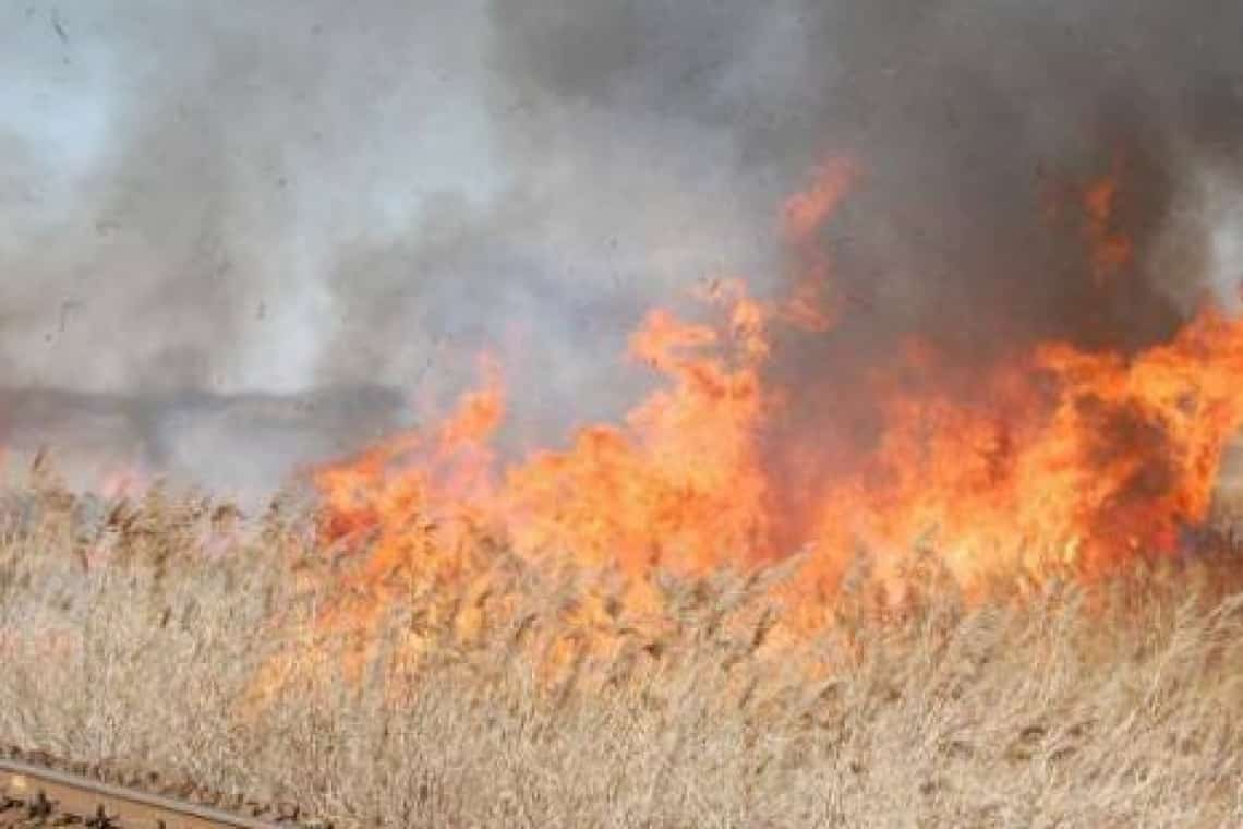 APIA Prahova atenționează: fermierii trebuie să respecte interdicția de a incendia miriștile sau resturile vegetale de pe terenurile arabile!