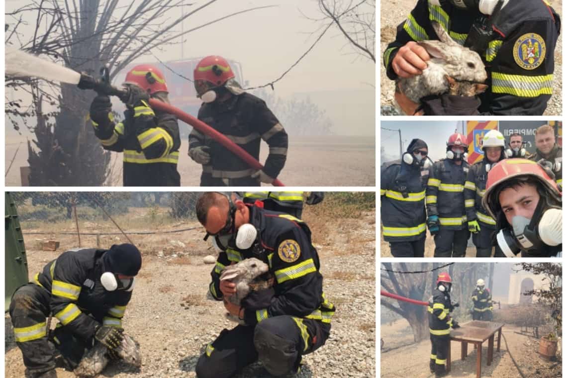 Trei pompieri de la Detașamentul Vălenii de Munte, alături de alți salvatori români, se luptă cu flăcările, în infernul din insula Rodos!
