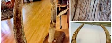 Vrei să te întorci în timp cu zeci de mii de ani în urmă? Mergi la Muzeul Cinegetic de la Posada să vezi ”pe viu” fildeși de mamut!