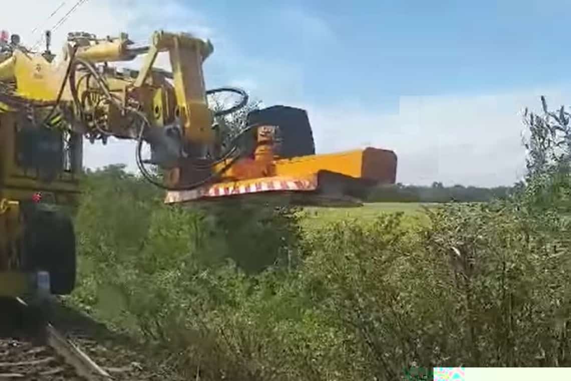 Vegetația ”luxuriantă” de la trecerile la nivel cu calea ferată, defrișată zilele acestea de CFR Infrastructură