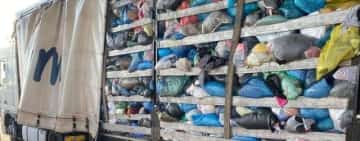 Proiect pentru interzicerea introducerii în România a deșeurilor amestecate, inițiat de Partidul Forța Dreptei
