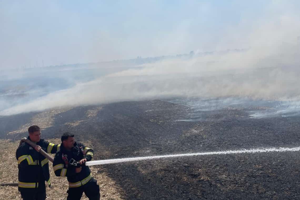 Incendiu de vegetație uscată pe circa 5000 de metri pătrați, în Strejnic. Pompierii avertizează asupra riscurilor 