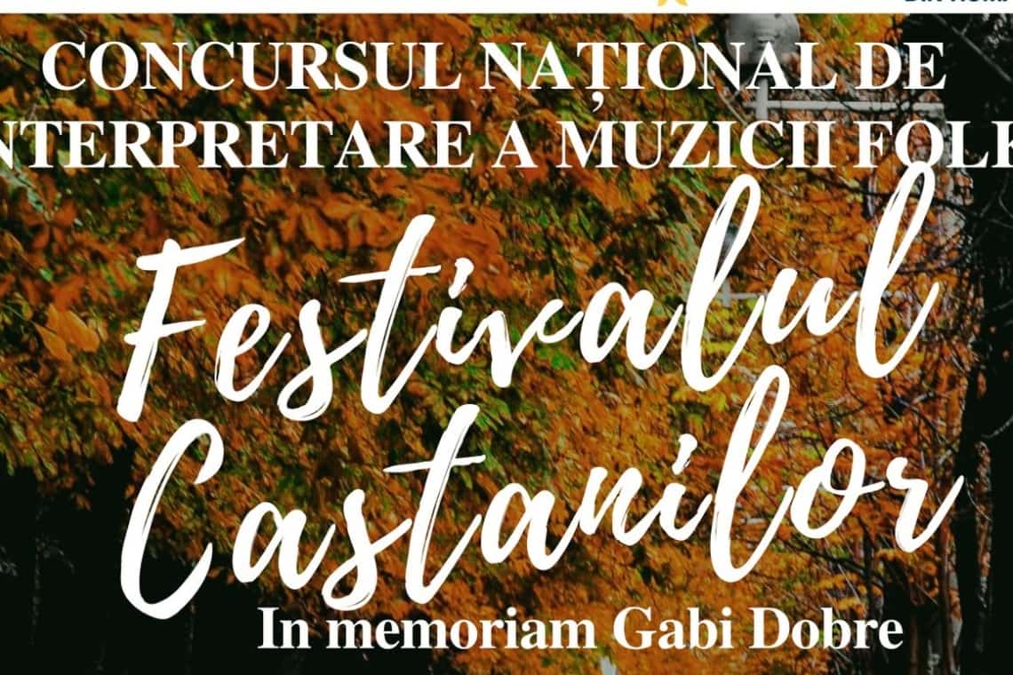 Ducu Bertzi și Mircea Vintilă, recitaluri la ”Festivalul Castanilor” de la Ploiești