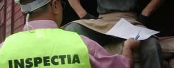 Minori folosiți la muncă, în Prahova, peste limitele orare legale!