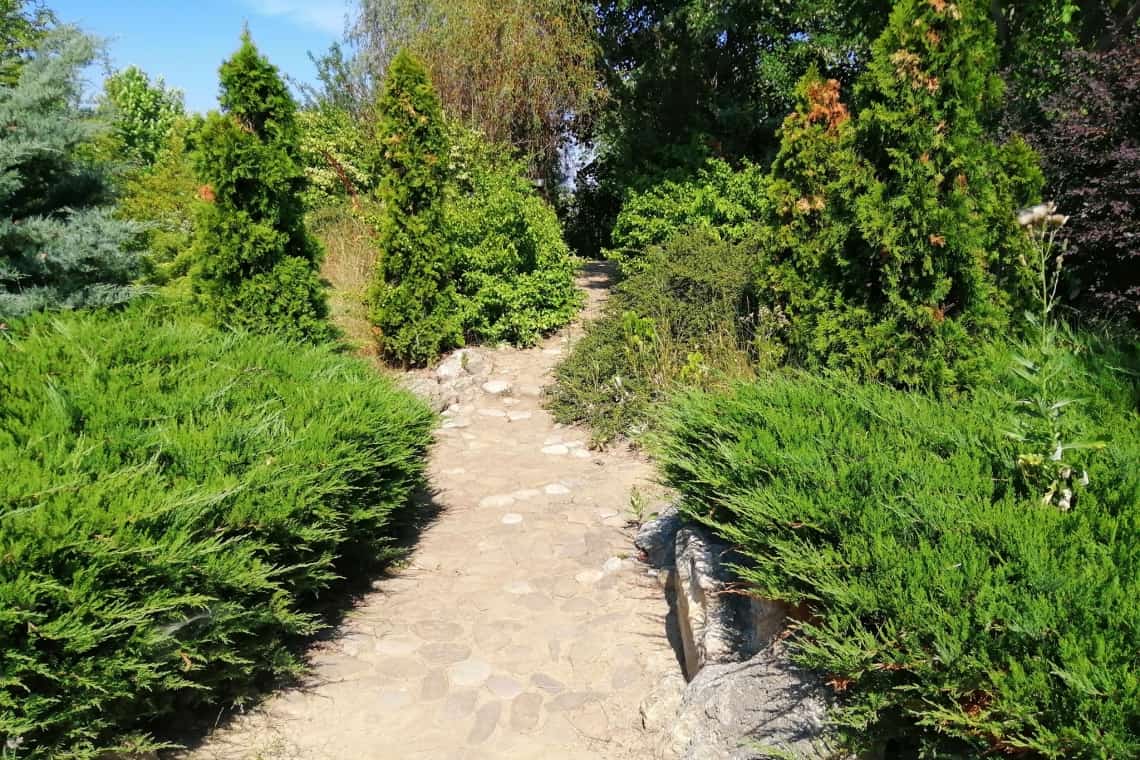 Concurs de orientare, în Grădina Botanică Bucov, organizat de InfO(1)Robotics și Clubul de drumeție și ecologie montană SprEVârf, din Colegiul Național ”Ion Luca Caragiale”