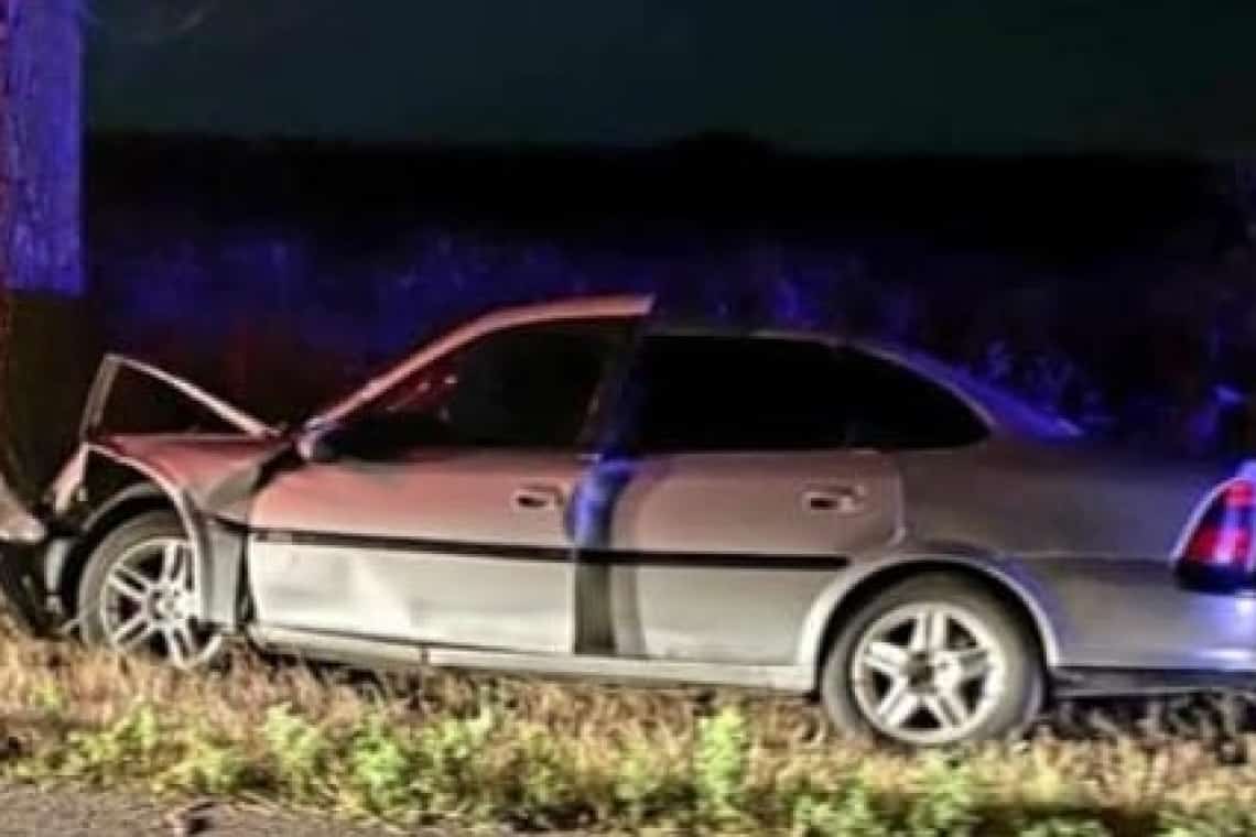 Plopu/Un șofer băut a intrat cu mașina într-un pom de pe marginea drumului