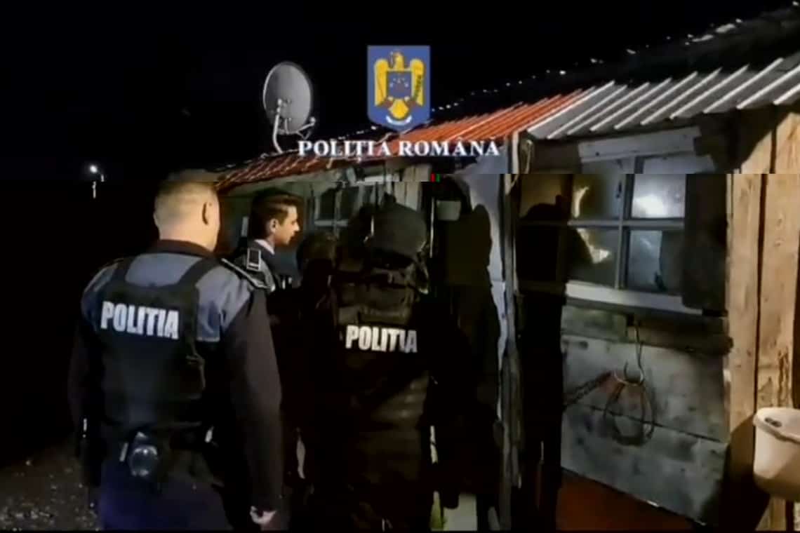 Prahoveni cercetați pentru schingiuirea animalelor. Băteau câini și îi foloseau ca ”momeală” pentru dresajul altora