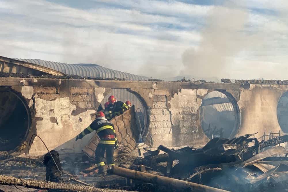 Funcționară din Primăria Gura Vadului, arestată preventiv în dosarul Ferma Dacilor