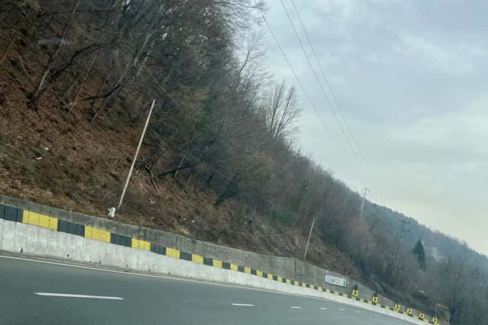 Restricții de circulație pe DN 1, între Comarnic și Sinaia, pentru toaletarea arborilor periculoși