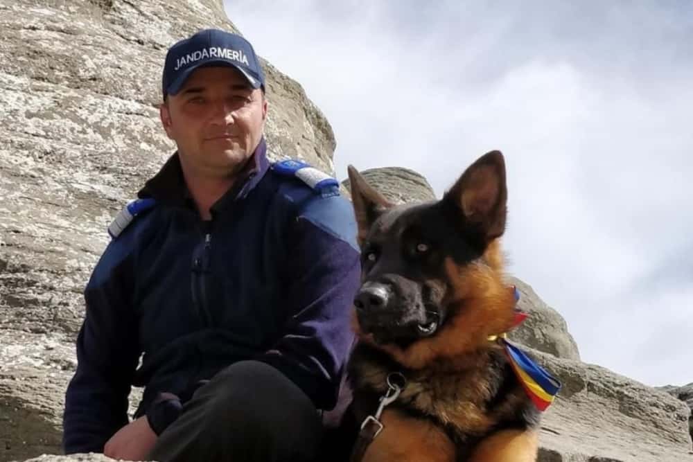 Jandarmii prahoveni recrutează subofițeri conductori de câini de serviciu! Alte 13 asemenea funcții sunt scoase la concurs în alte județe din țară