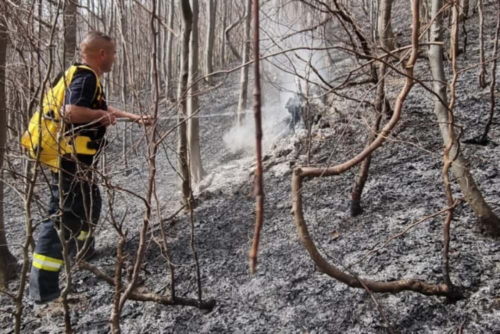 Update/Incendiu de pădure la Valea Doftanei, duminică după-amiază. Flăcările au cuprins circa șase hectare (foto ISU Prahova) 