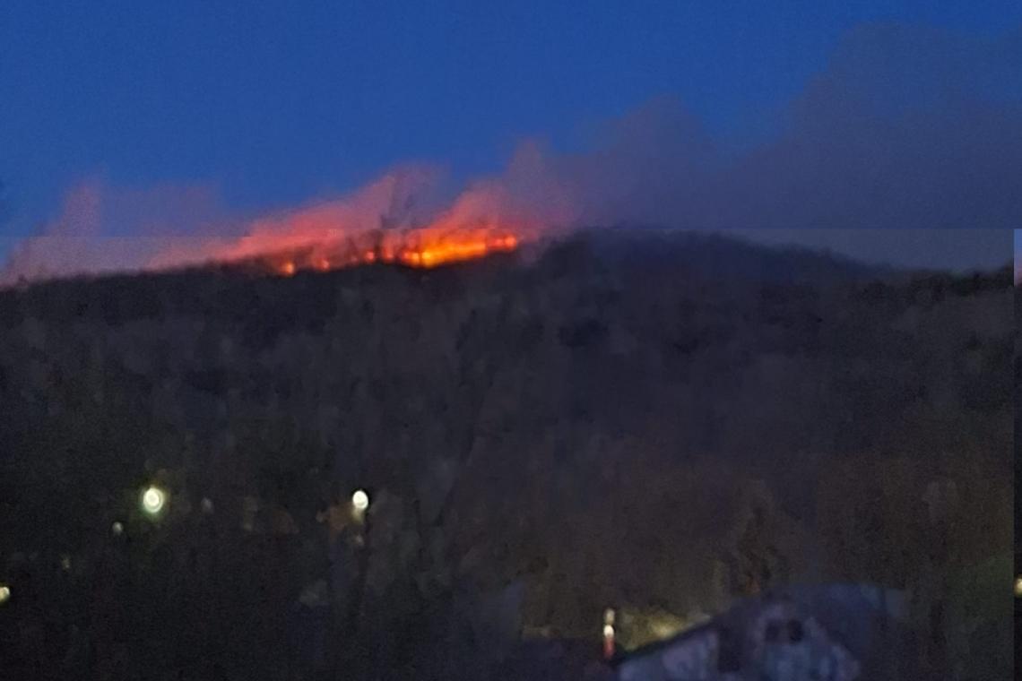 Un incendiu de proporții în apropiere de Slănic. Localnicii se tem că vântul va provoca un dezastru!