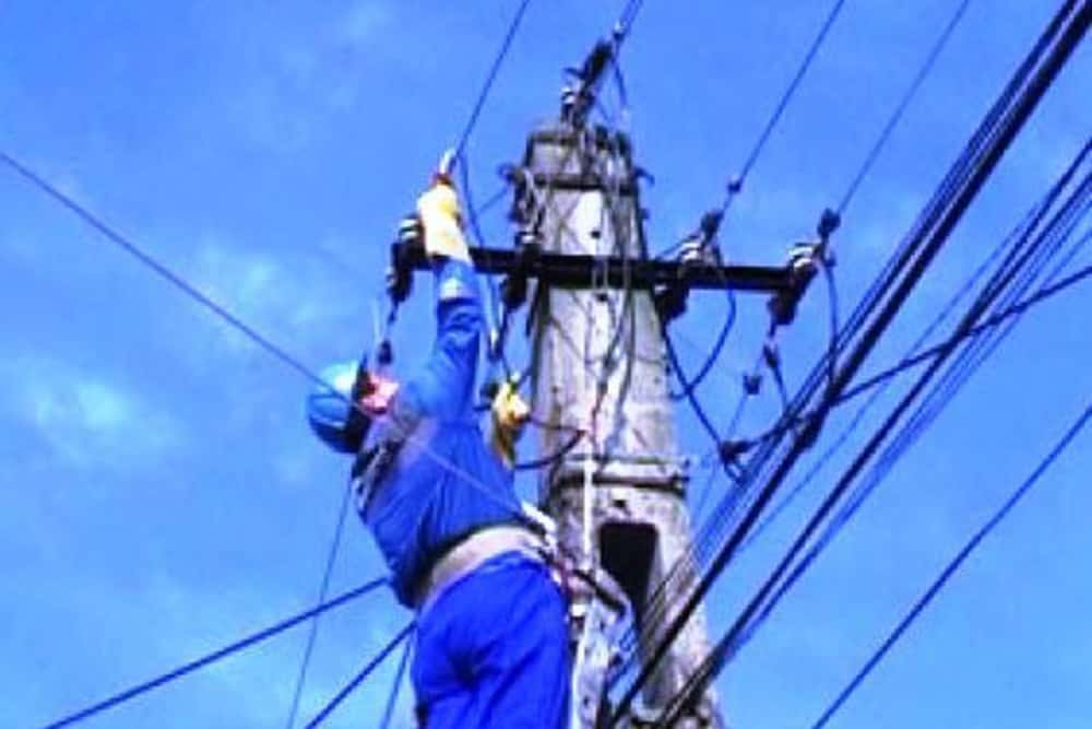 Mii de consumatori au rămas fără curent în județul Prahova, din cauza vântului