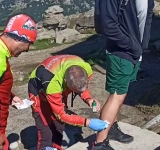 Turist mușcat de o vulpe, în zona Babele. Avertismentul salvamontiștilor