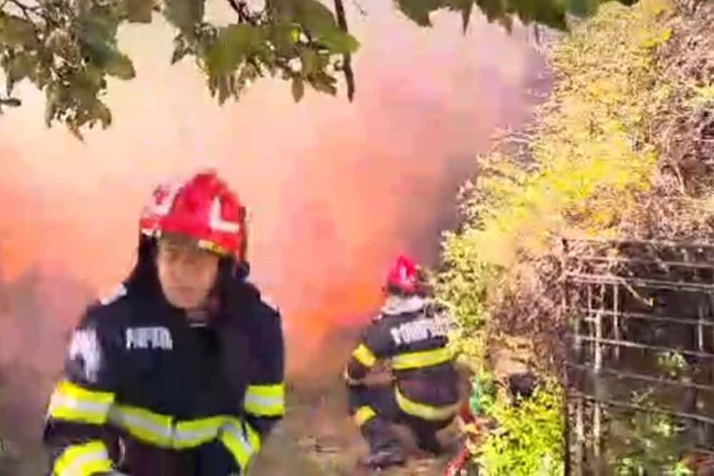 Un cal a murit carbonizat într-un incendiu produs în comuna Drajna