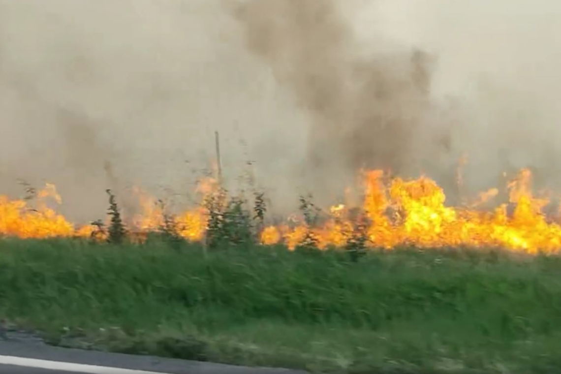 Update!/Incendiu pe 50 de hectare de teren, lângă Băicoi. Circulație îngreunată pe DN1