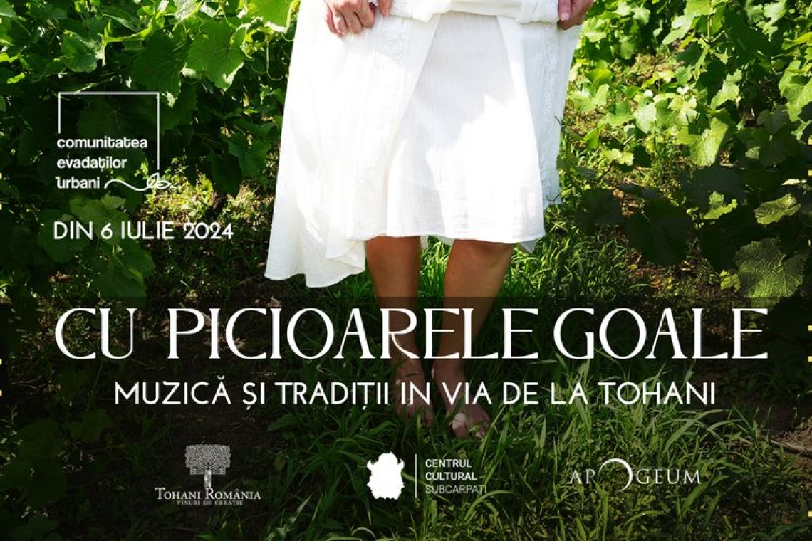 Timp liber/ Cu picioarele goale, în via de la Tohani! Degustări de vin și muzică bună, la sfârșit de săptămână