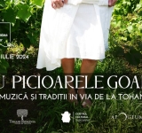Timp liber/ Cu picioarele goale, în via de la Tohani! Degustări de vin și muzică bună, la sfârșit de săptămână