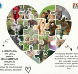 Copiii confecționează jucării pentru animăluțele de la Zoo Bucov, de Ziua Internaţională a Grădinilor zoologice şi a Parcurilor!