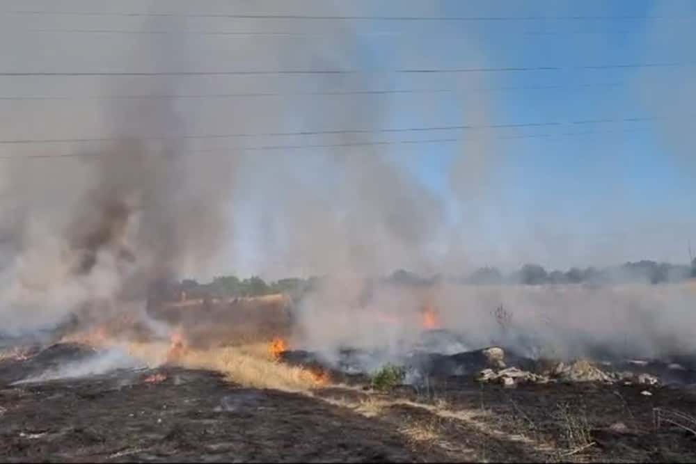 Incendiu pe 50 de hectare de teren, în comuna Bărcănești. Pompierii intervin cu cinci autospeciale de stingere
