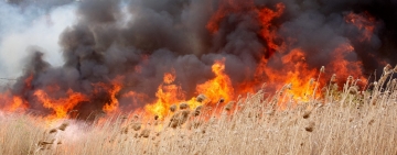 Incendiu pe nouă hectare de teren, în Urlați. Zeci de pompieri se luptă cu flăcările