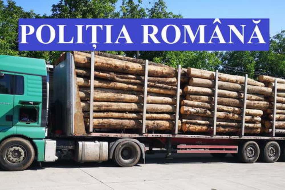 Două camioane pline cu lemne, imobilizate de polițiștii prahoveni. Există suspiciuni privind proveniența buștenilor și cantitatea transportată